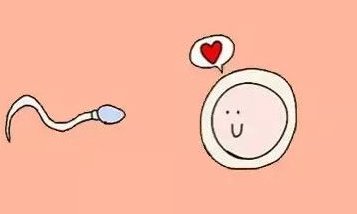 想要做试管婴孩子宫需要满足哪些条件？