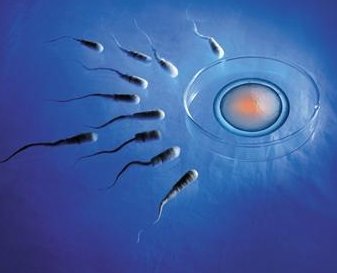 爱维医院试管婴儿成功率能达到100%吗？哪些因素影响成功率？