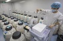 2026年北京做试管的私立医院哪家比较好？