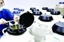 做第三代试管婴儿取多少卵才合适？