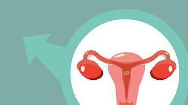 松滋市生孩子做染色体检查有必要吗，筛查一次大概需要多少钱？