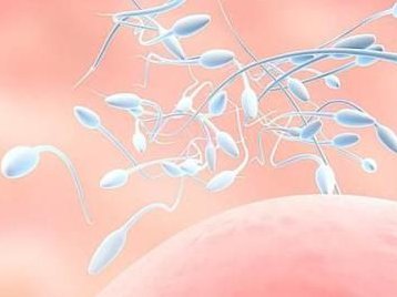 做了结扎手术可以在禹州市试管医院做试管婴儿吗？费用是多少