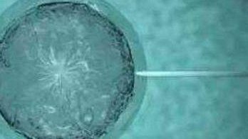 强直性脊柱炎b27阳性可以做三代试管筛查掉吗？