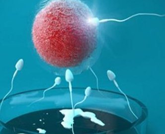 广州那么多试管机构靠谱吗？广东正规的试管机构有哪几家