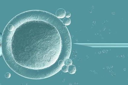 岳阳市妇幼保健院洗精费用多少钱？试管婴儿移植成功后检查流程有哪些？